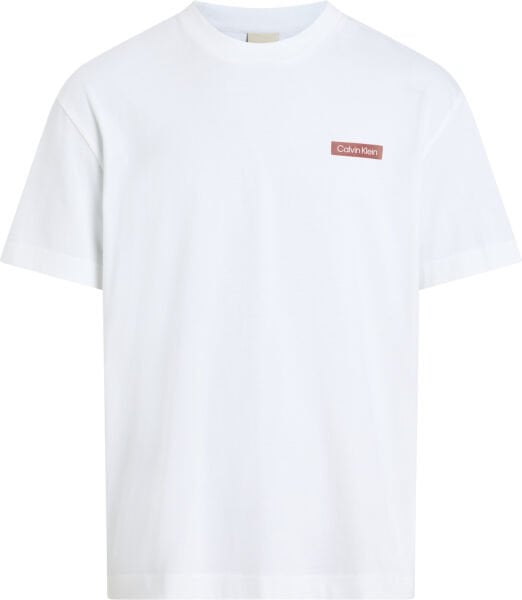 OVERLAY PRINT T-SHIRT