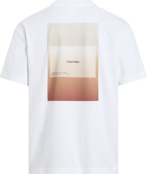 OVERLAY PRINT T-SHIRT