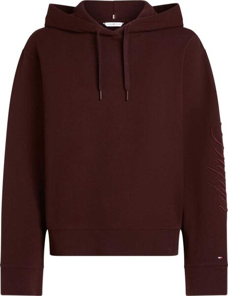SCRIPT MDRN REG TERRY HOODIE