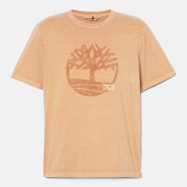 Garment Dye Logo Graphic Tee