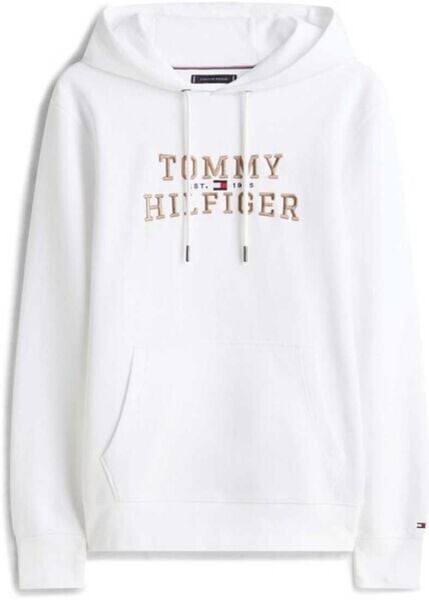 ICON INTECHNO HOODY