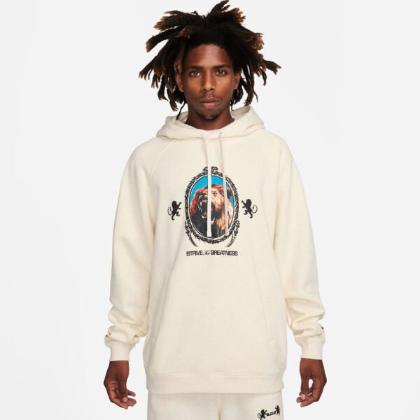 LJ M NK BRSH PO HOODIE